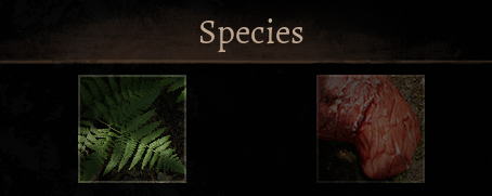 Herbivore or Carnivore?