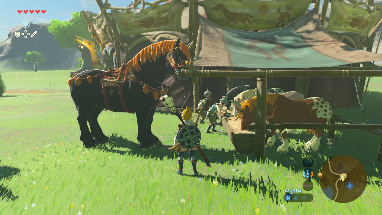 Gannon's horse in BOTH