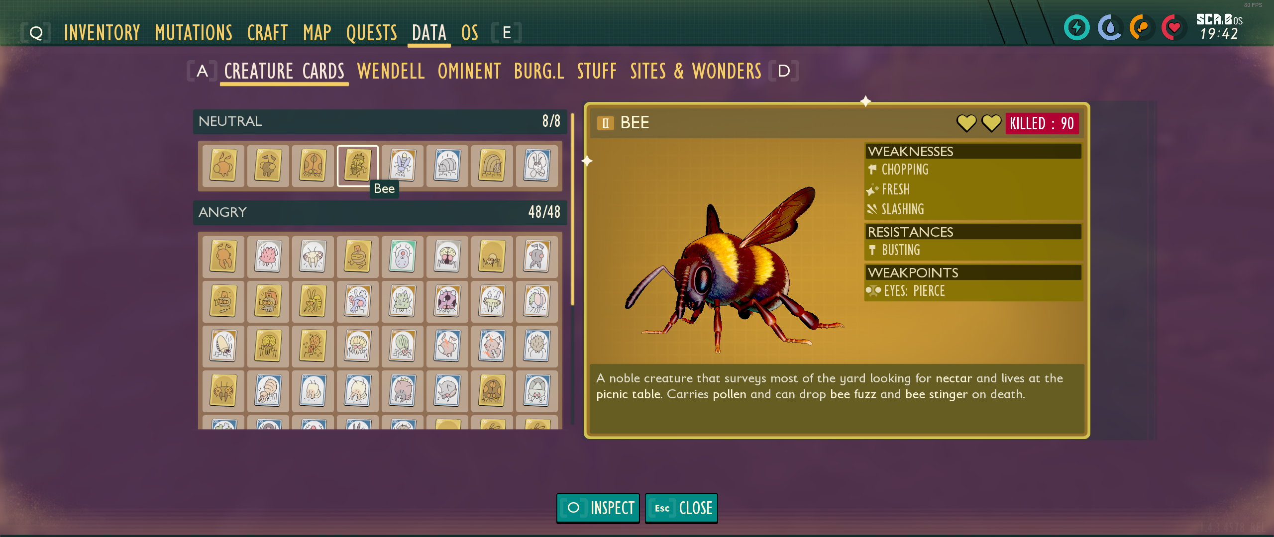 An adorable bee!